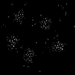 decoded image