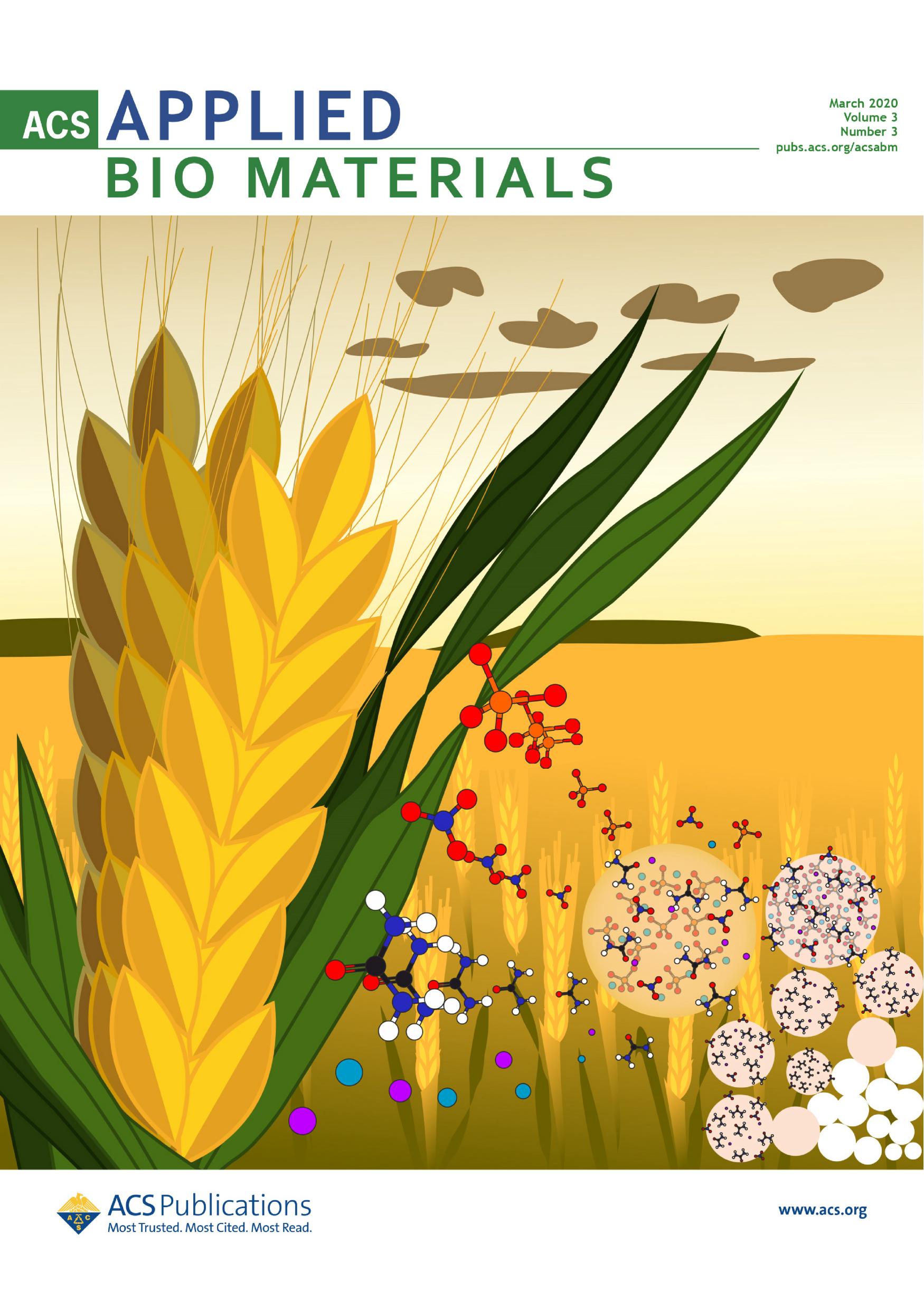 Ramírez-Rodríguez, G. B., Dal Sasso, G., Carmona, F. J., Miguel-Rojas, C., Pérez-de-Luque, A., Masciocchi, N., ... & Delgado-López, J. M. (2020). Engineering biomimetic calcium phosphate nanoparticles: A green synthesis of slow-release multinutrient (NPK) nanofertilizers. ACS Applied Bio Materials, 3(3), 1344-1353