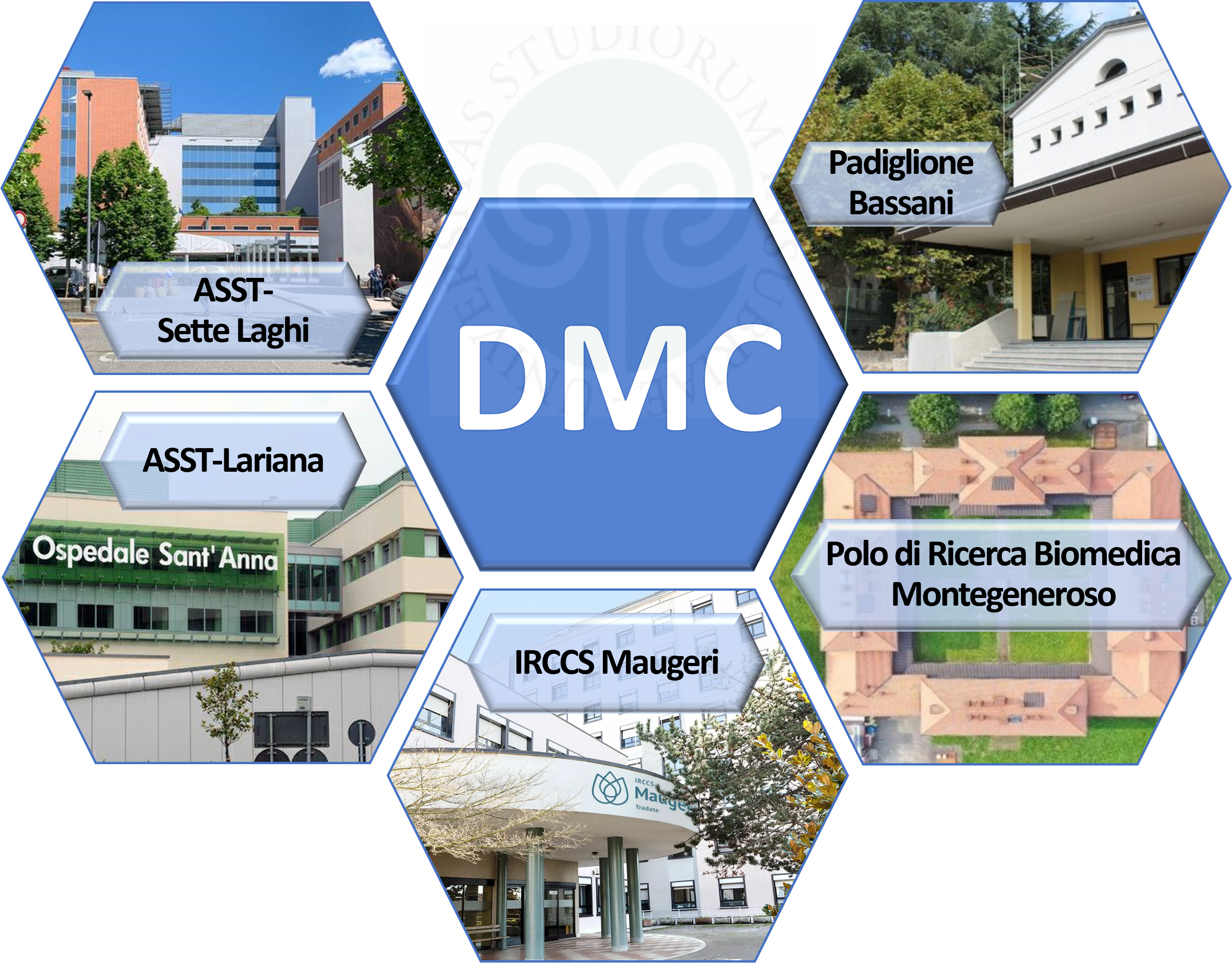 dmc newrel