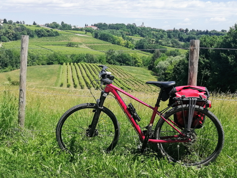 Bicicletta parcheggiata accanto a campi