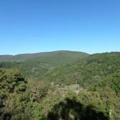 Foto la linea dell' accento