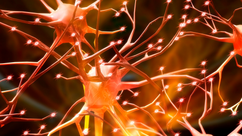 Malattie neurodegenerative rare