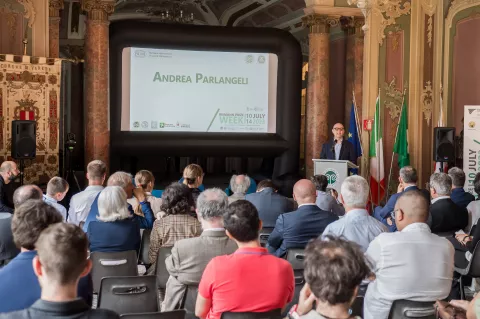 Conferimento del Riemann Prize