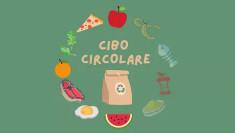 cibo circolare