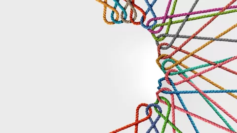 connessioni