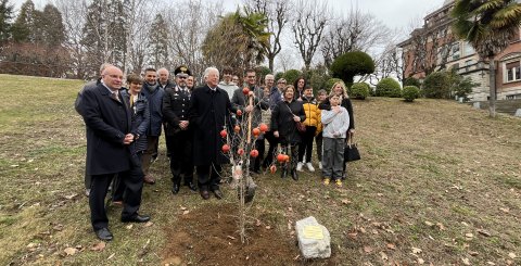 Piantumazione melograno a Villa Toeplitz