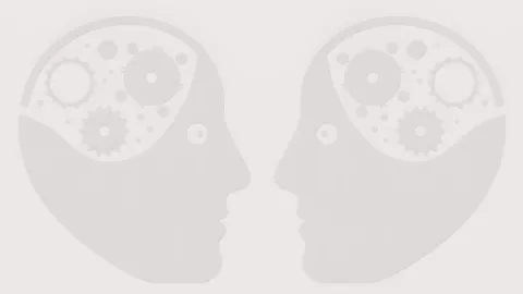 Social Behavior 