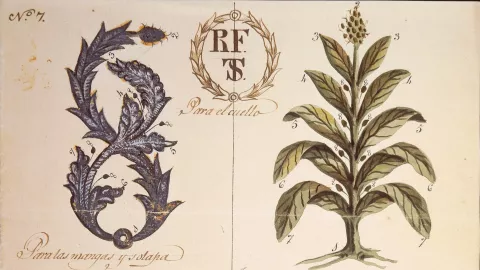 XIX Convegno filologia ispanica