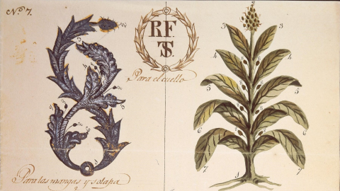 XIX Convegno filologia ispanica
