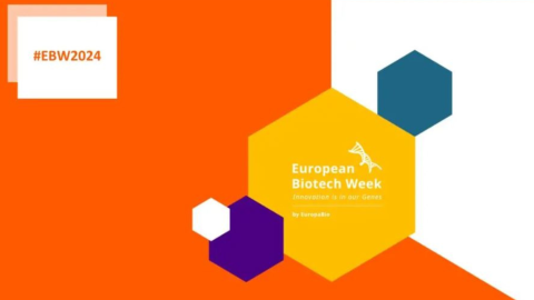 Ebw2024