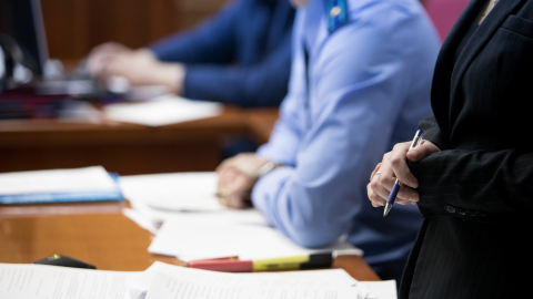 giornalista processo