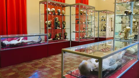 pietrificatore di Lodi