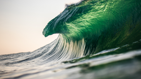 sfumature di verde