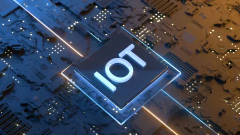 IoT