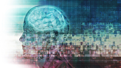 neuroscienze