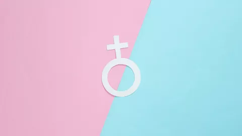 Gender symbol feminism on pastel background. Top view. Minimalism. Gender equality