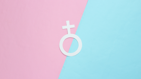 Gender symbol feminism on pastel background. Top view. Minimalism. Gender equality