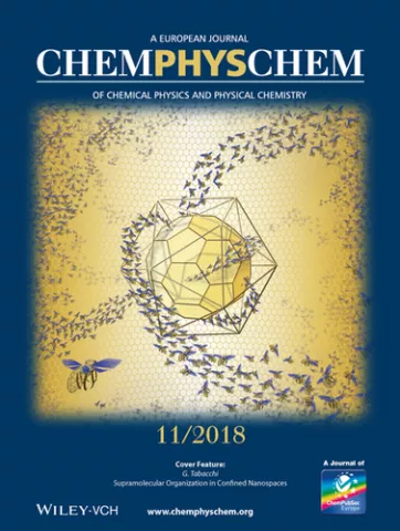 Gloria Tabacchi (2018) Supramolecular Organization in Confined Nanospaces, ChemPhysChem, 19, 11, (1249-1297), (2018)