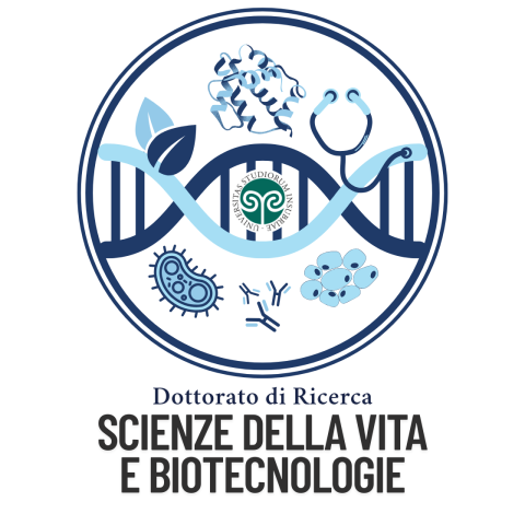 Logo DSVB