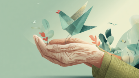 Piattaforma Fragilità