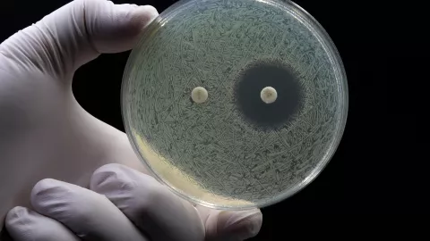 antibiotico resistenza