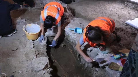 Archeologi Insubria