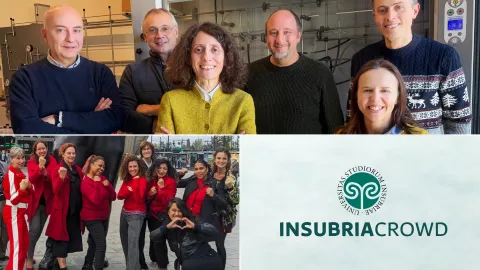 InsubriaCrowd
