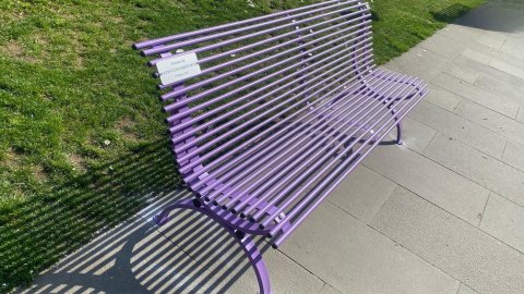 Panchina Lilla Varese