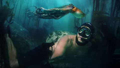 Una scena del film "Il mio amico in fondo al mare"
