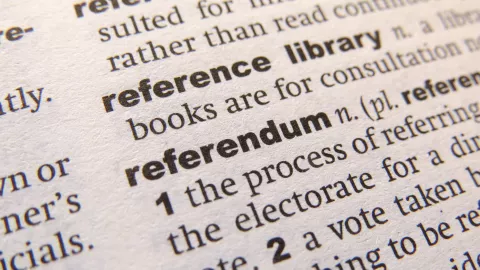 referendum