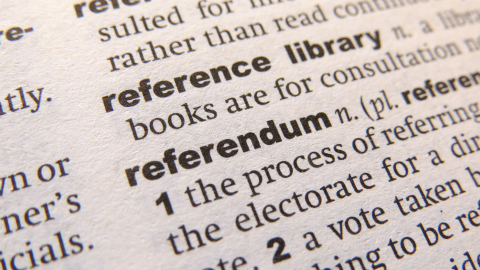 referendum