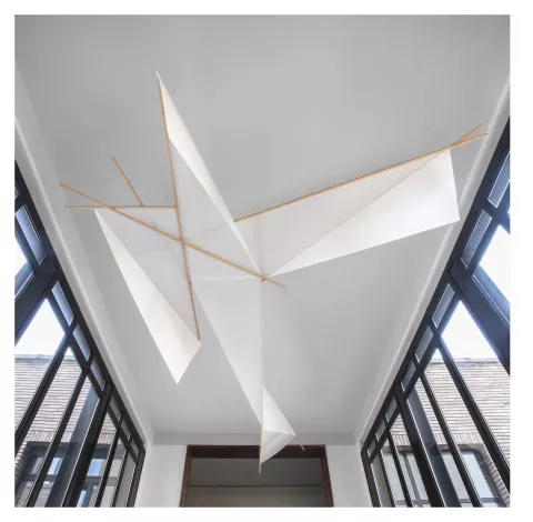 Francesco Cucci, Vettorialità insubriche. Un volo verso l'infinito, 2018