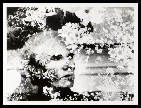 Giorgio Lotti, Andy Warhol’s Flowers, 1984