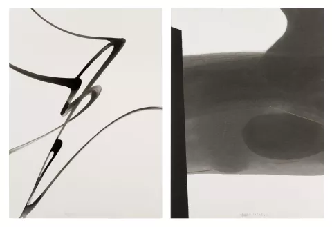 Giorgio Vicentini, Appunti di volo, 2016
