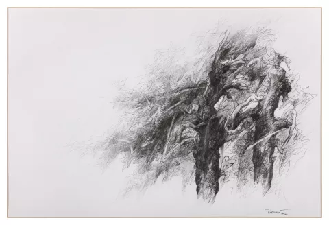 Sandra Tenconi, Alberi di roccolo, 2012