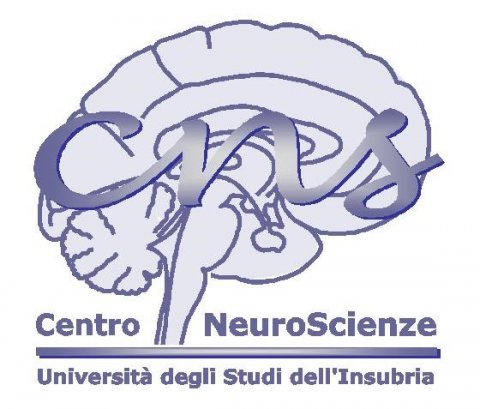 Logo_CNS