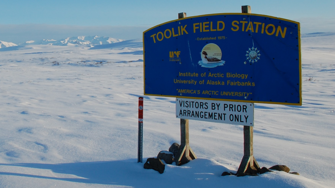 University of Alaska