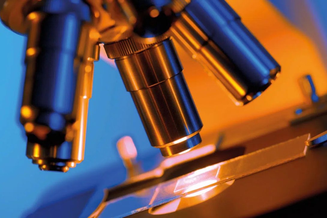 Microscopio