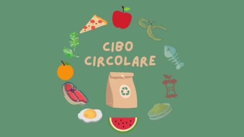cibo circolare