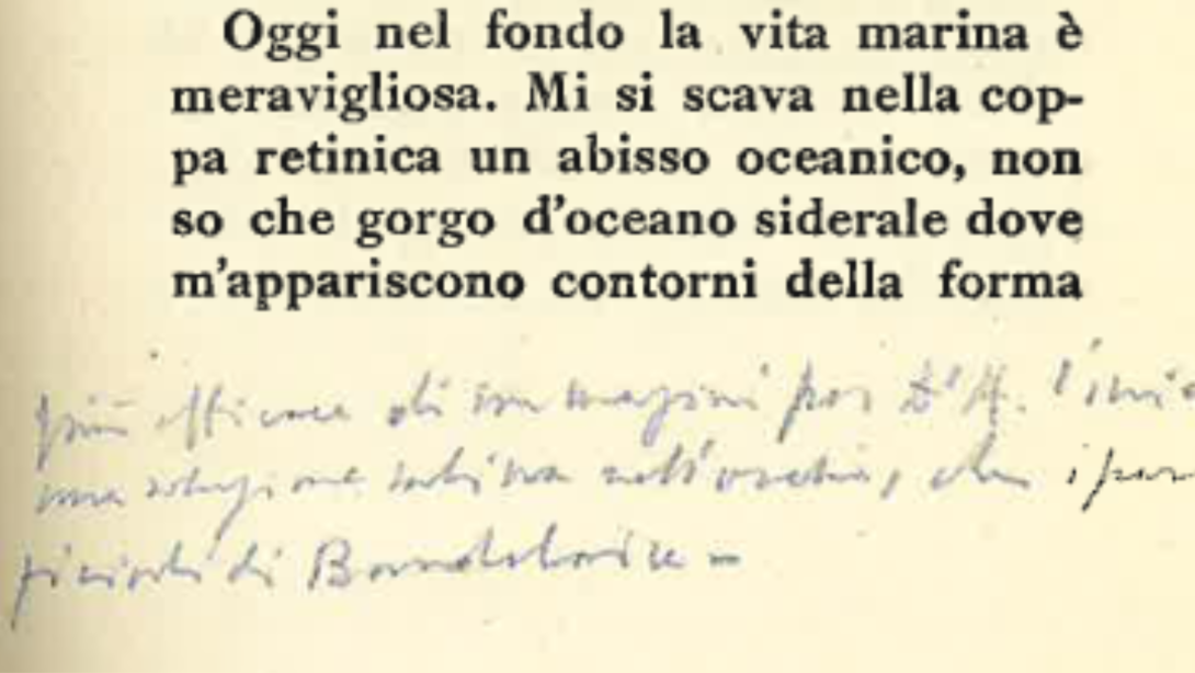 Notturno a Lugano. Morselli lettore di D'Annunzio