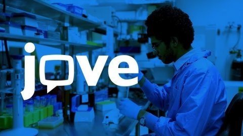 Jove ti aiuta a preparare il TOLC-F