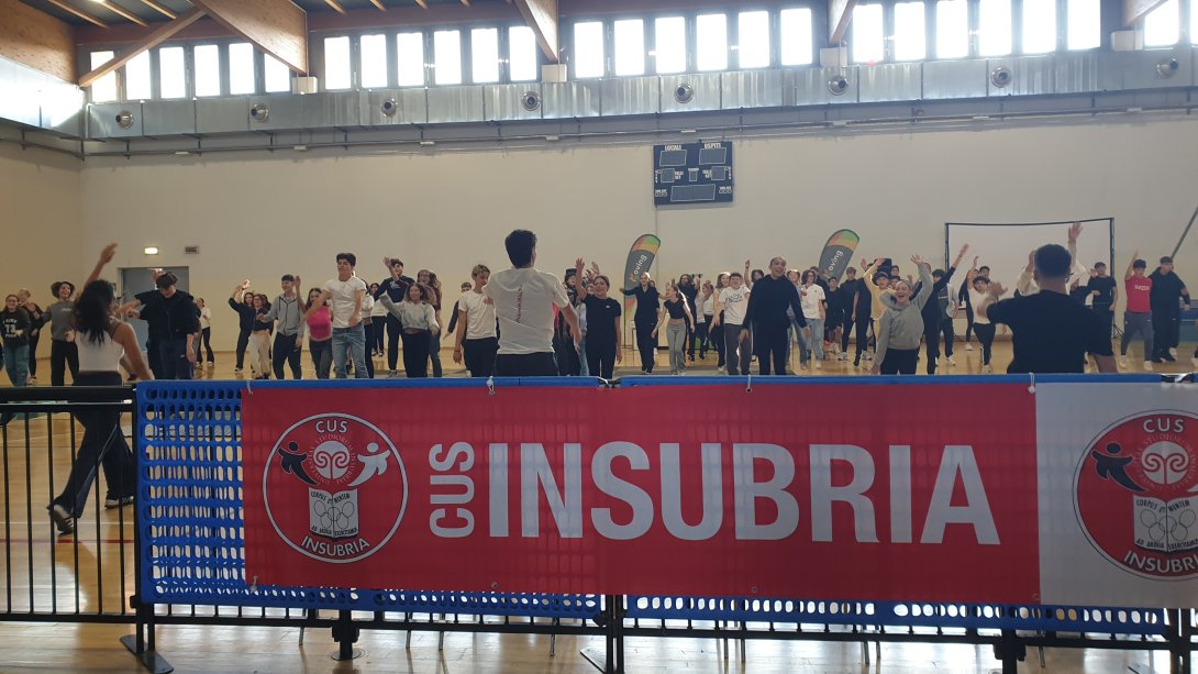 Insubria-Moving