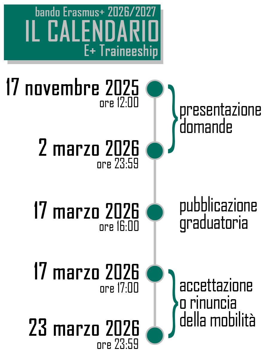 calendario traineeship
