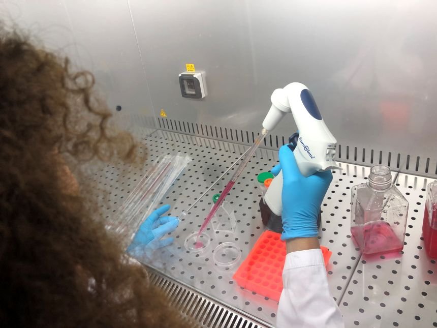 Colture cellulari - laboratori