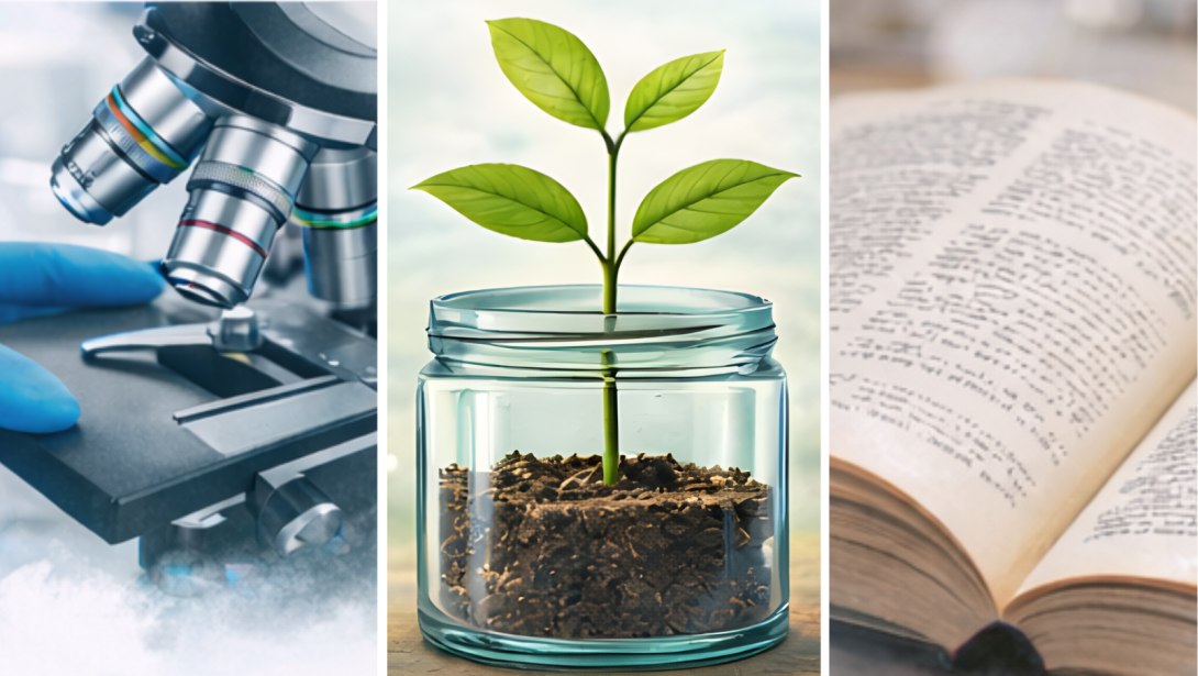 InsubriaCrowd Banner