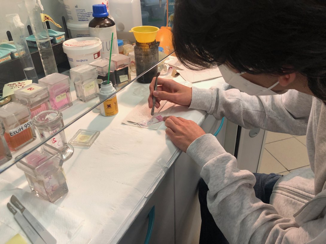 Scuole in laboratorio
