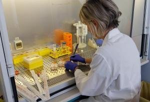 laboratorio CR farmacologia