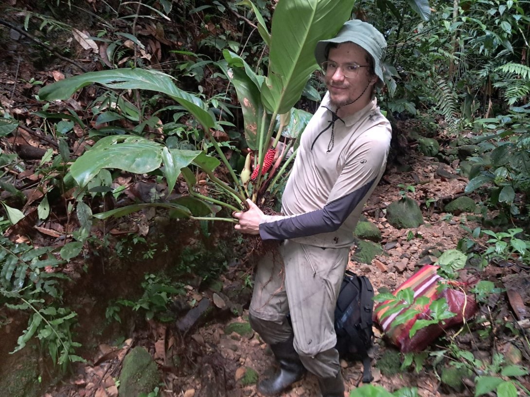 Amazzonia