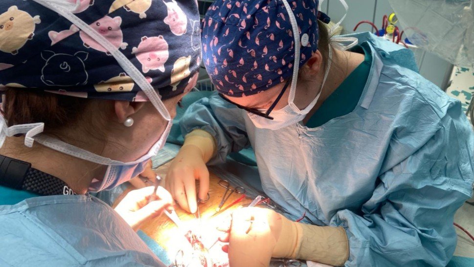 Attività formative specializzandi vascolare