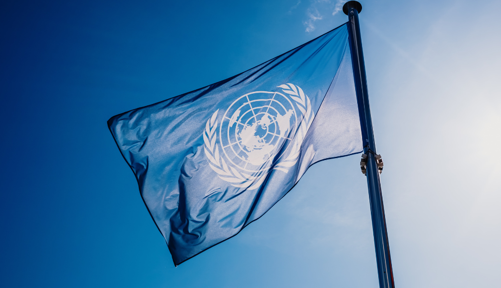 Unicef corso Cumed